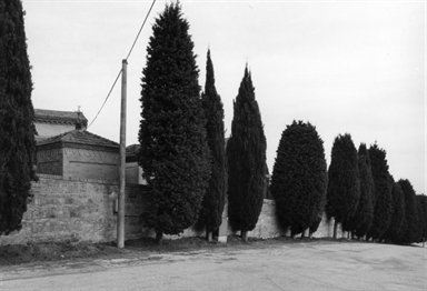 Cimitero di Camerano